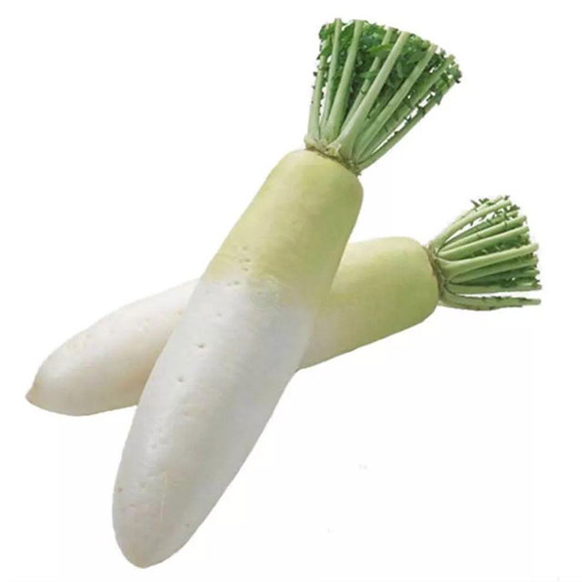 白蘿卜配送-粵崗蔬菜配送